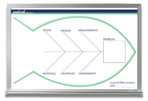 Fishbone diagram on whiteboard