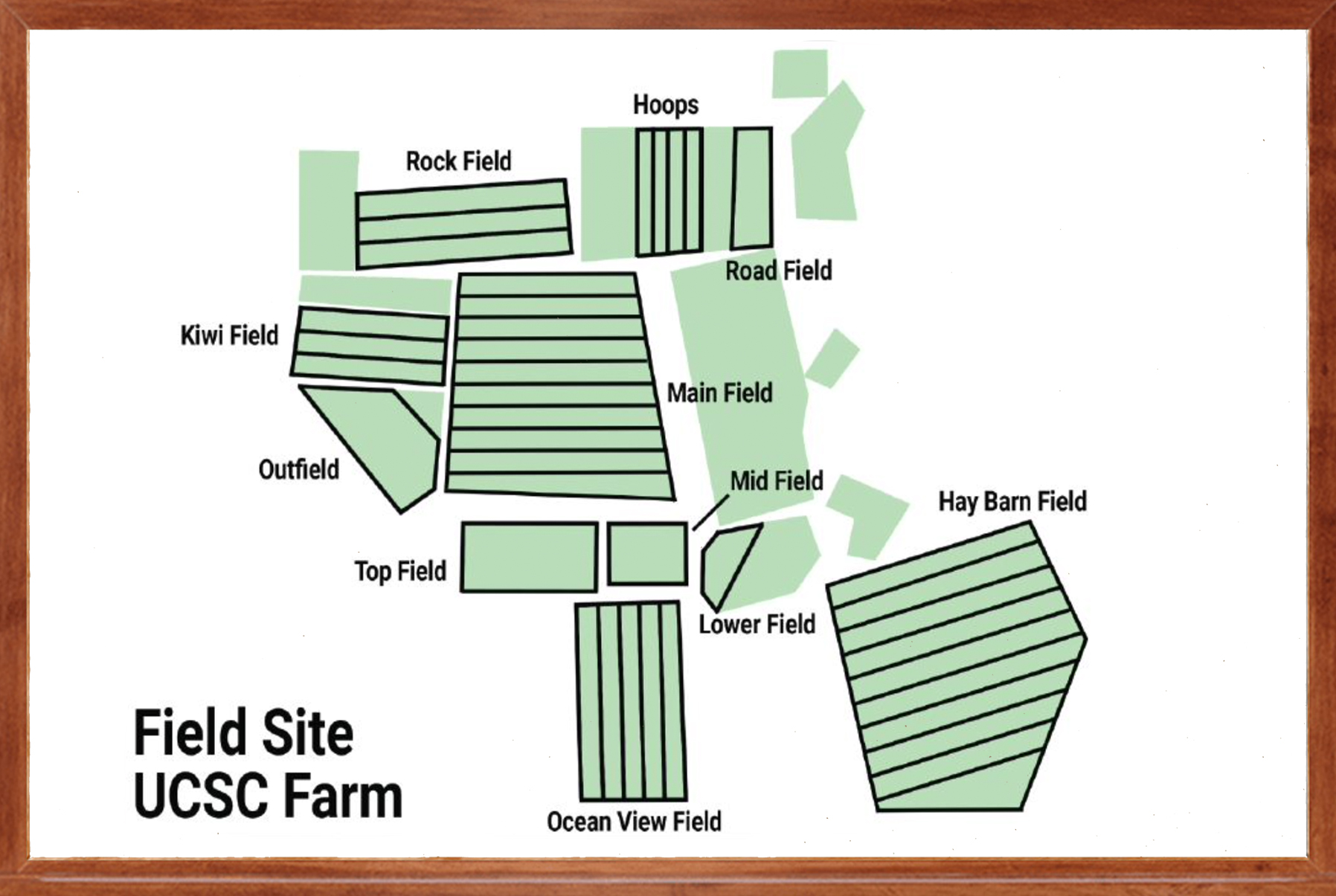 UCSC Farm custom printed site whiteboard